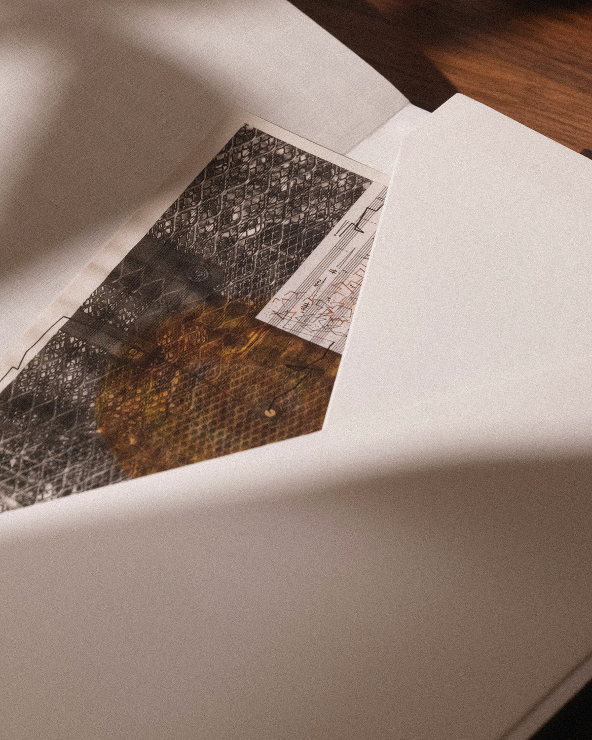 Tatou notebook detail