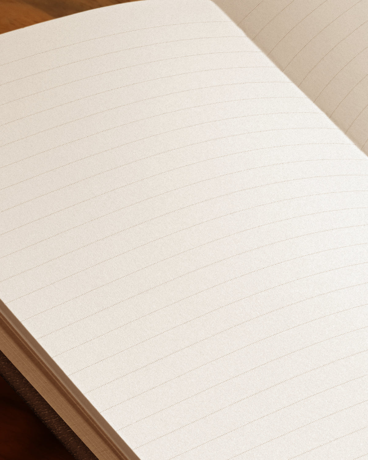 Tatou notebook detail